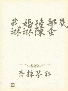 我婚后那几年汤琳琳陈企