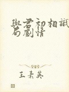 与君初相识大结局剧情封面