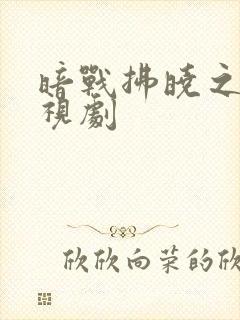 暗战拂晓之前电视剧封面