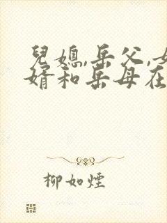 儿媳,岳父,女婿和岳母在线观看