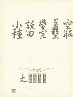 小说带着空间去种田完整版