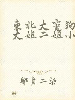 东北大灶狗儿娘大姐二姐小说