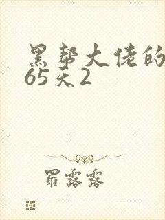 黑帮大佬的第365天2