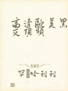 高清欧美黑人猛交视频