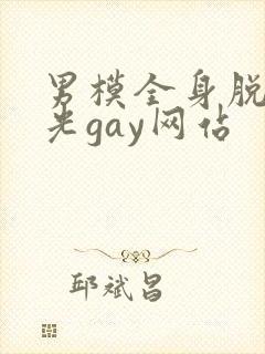 男模全身脱得精光gay网站封面