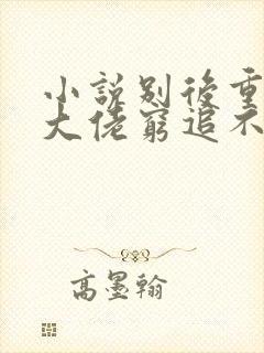 小说别后重逢,大佬穷追不舍