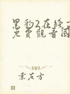 黑豹2在线高清免费观看国语封面