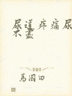 尿道疼痛尿频尿不尽