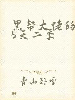 黑帮大佬的365天二季