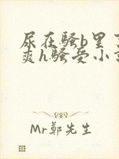 尿在骚b里了好爽h骚受小说