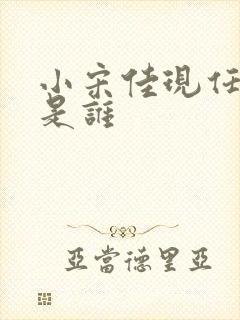 小宋佳现任丈夫是谁