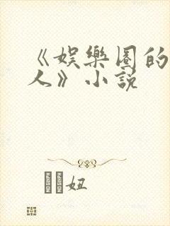 《娱乐圈的老实人》小说封面