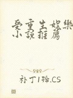 受重生娱乐圈的小说推荐