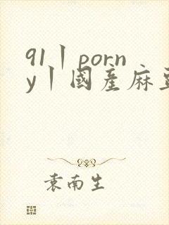 91丨porny丨国产麻豆