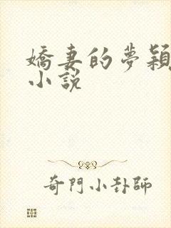 娇妻的梦颖阿胜小说