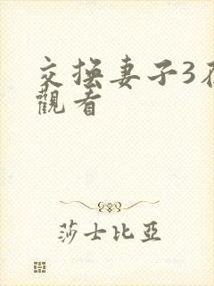 交换妻子3在线观看