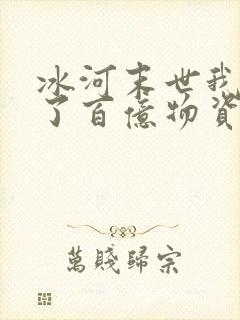 冰河末世我囤积了百亿物资小说