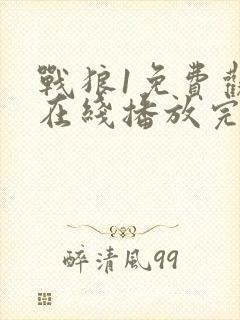 战狼1免费观看在线播放完整版