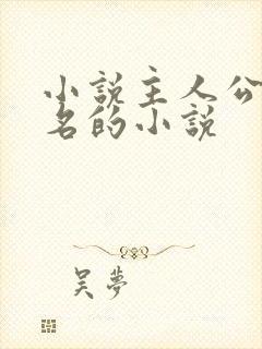 小说主人公刘伟名的小说封面