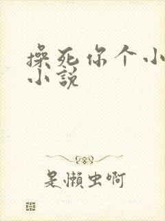 操死你个小骚货小说封面