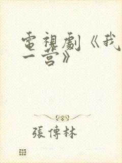 电视剧《我的特一营》封面