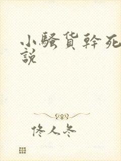 小骚货干死你小说封面