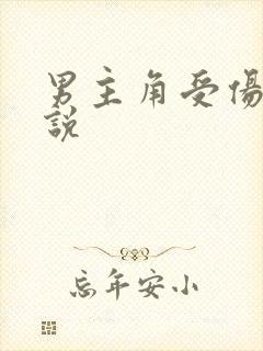 男主角受伤的小说封面
