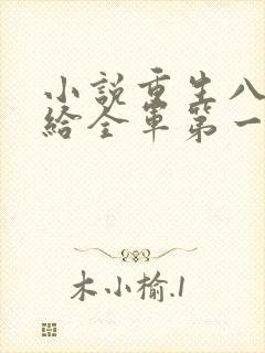 小说重生八零嫁给全军第一硬汉