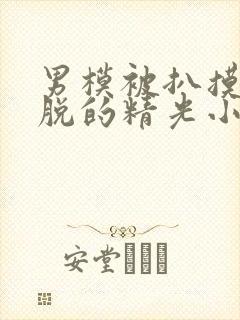 男模被扒摸jj脱的精光小说封面