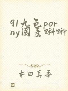 91九色porny国产蝌蚪中文精品