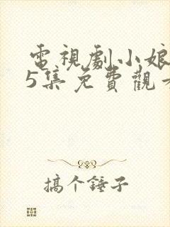 电视剧小娘惹45集免费观看大结局