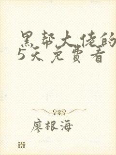 黑帮大佬的365天免费看