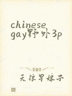 chinesegay野外3p封面
