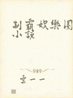 制霸娱乐圈全集小说
