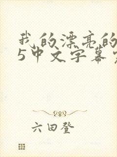 我的漂亮的嫂子5中文字幕完整版封面