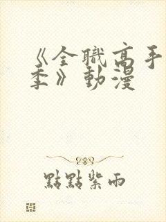 《全职高手第一季》动漫