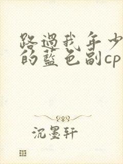路过我年少时光的蓝色副cp