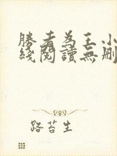 胜者为王小说在线阅读无删减封面