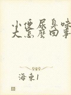 小便尿臭味特别大怎么回事封面