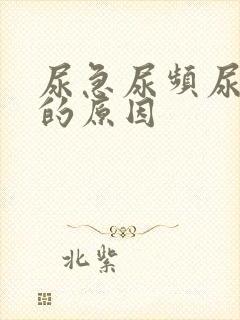尿急尿频尿不尽的原因