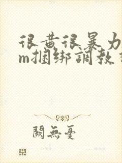 很黄很暴力的sm捆绑调教视频网站封面