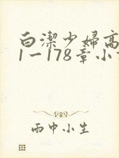 白洁少妇高义第1一178章小说