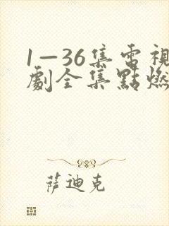 1—36集电视剧全集点燃我温暖你