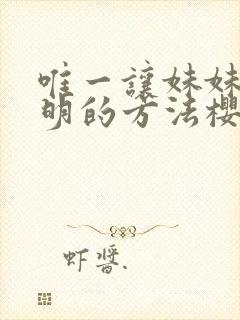 唯一让妹妹变聪明的方法樱花动漫
