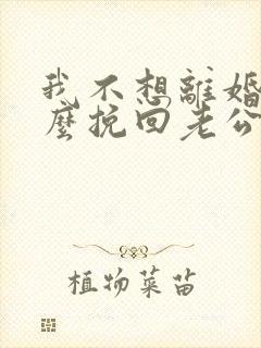 我不想离婚该怎么挽回老公封面