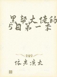 黑帮大佬的365日第一季