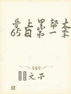 爱上黑帮大佬365日第一季封面