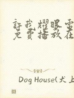 许我耀眼电视剧免费播放在线封面