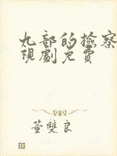 九部的检察官电视剧免费封面