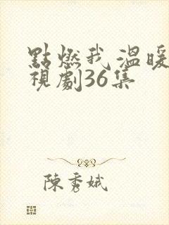 点燃我温暖你电视剧36集